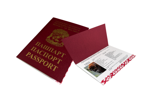 Паспорт "Зубра"